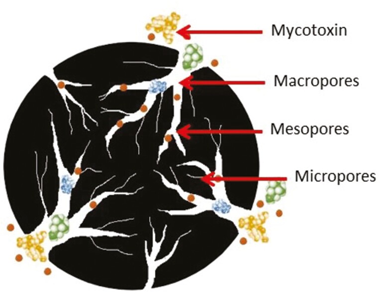 Figure 3.