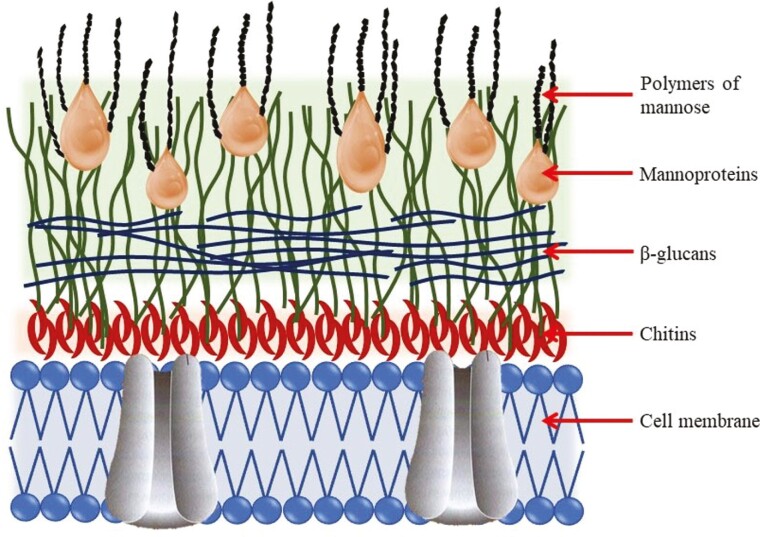 Figure 4.