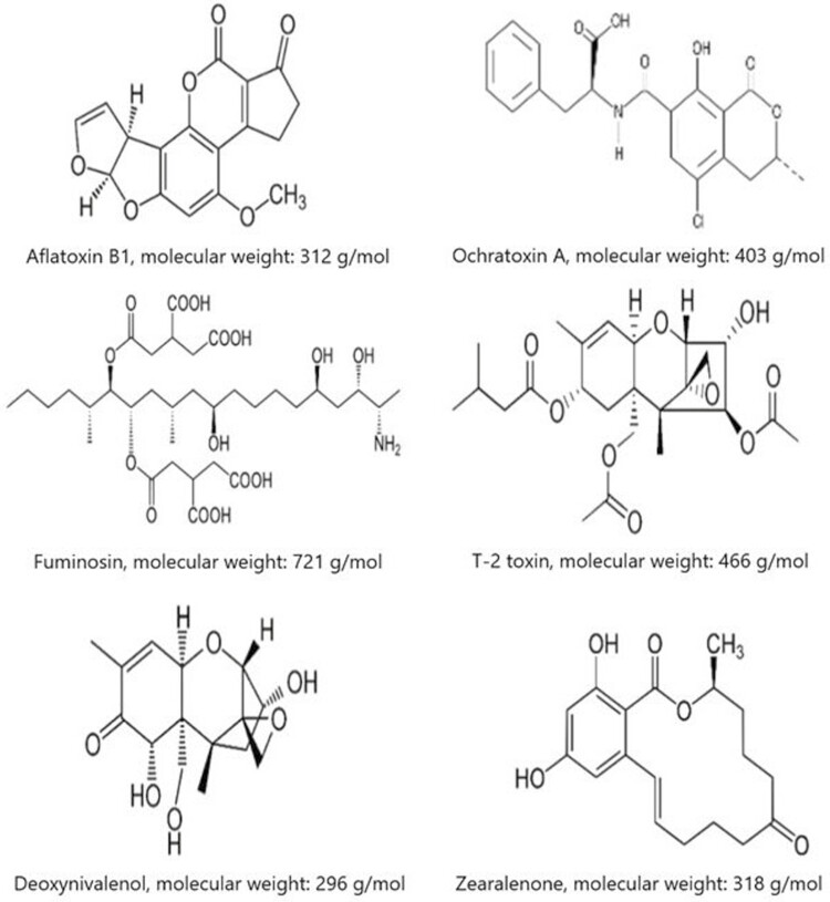 Figure 5.