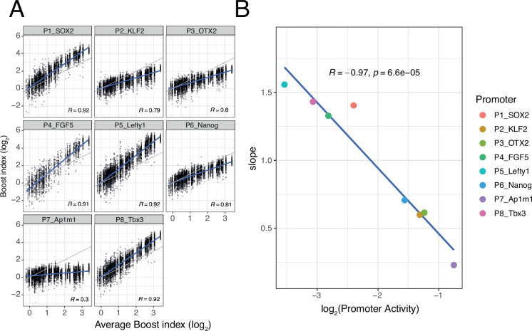 Figure 5—figure supplement 2.