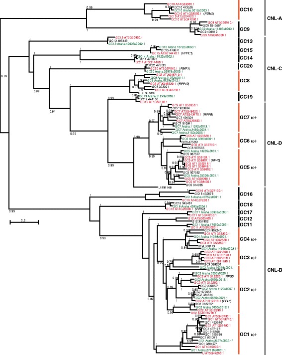 Fig. 2