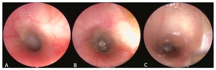 Figure 9