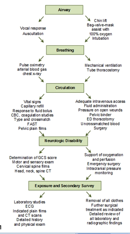 Figure 7:  Simplified assessment and management of a trauma patient. CBC, complete blood count; CT, computed tomography; ECG, electrocardiogram; ED, emergency department; FAST, focused assessment by sonography for trauma; GCS, Glasgow Coma Scale.  (Adapted from the Advanced Trauma Life Support curriculum of the American College of Surgeons.)