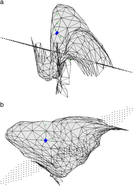 Fig. 6