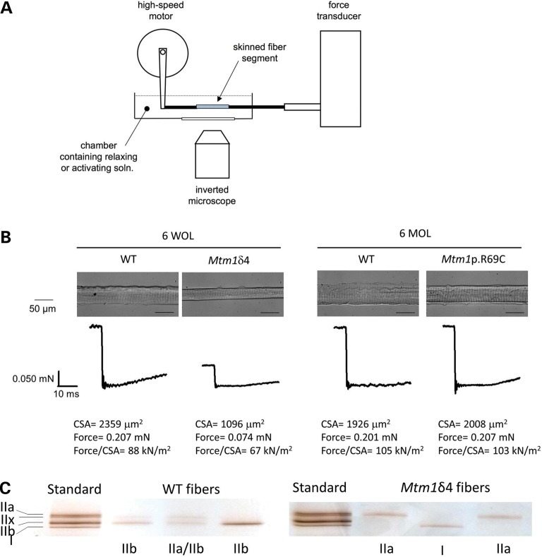 Figure 2.