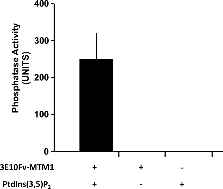 Figure 5.