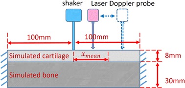 Fig. 1