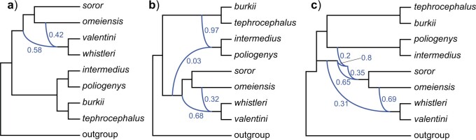 Figure 7.