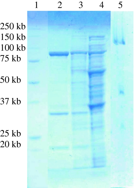 Fig. 3