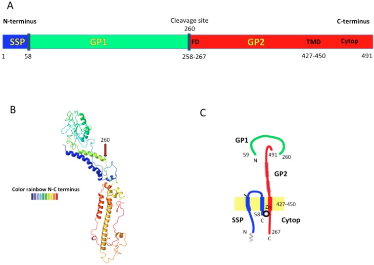 Figure 2