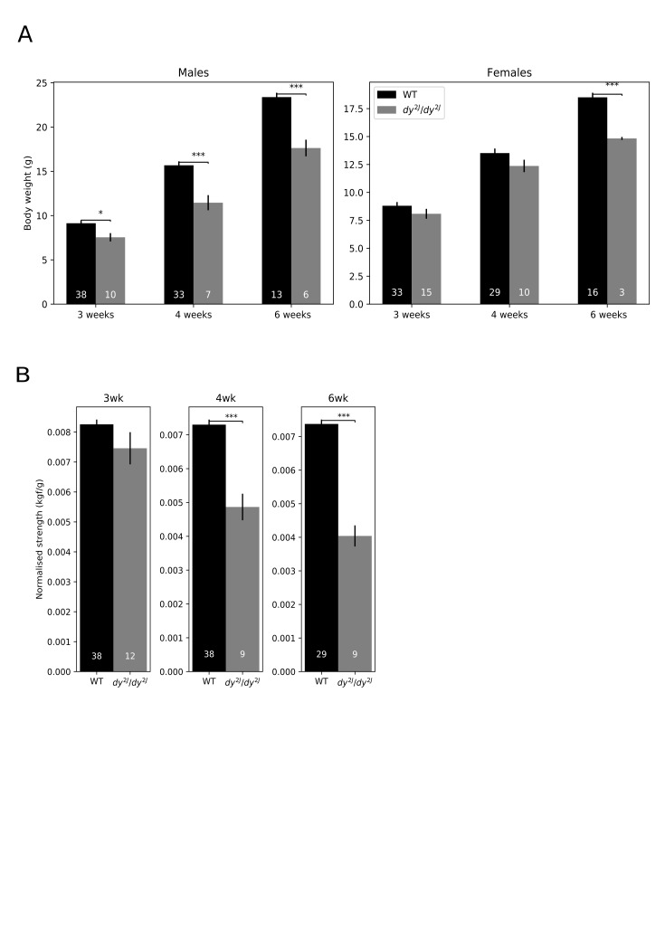 Fig2