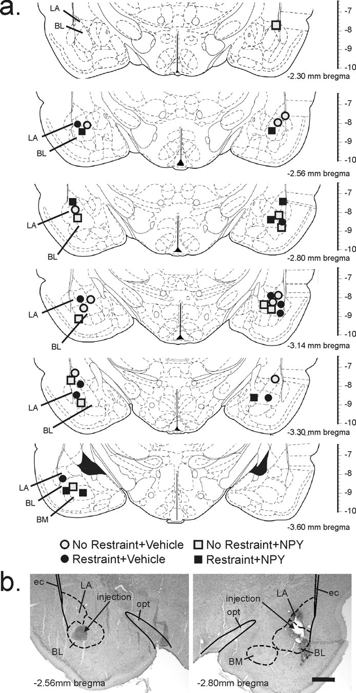 Figure 7.