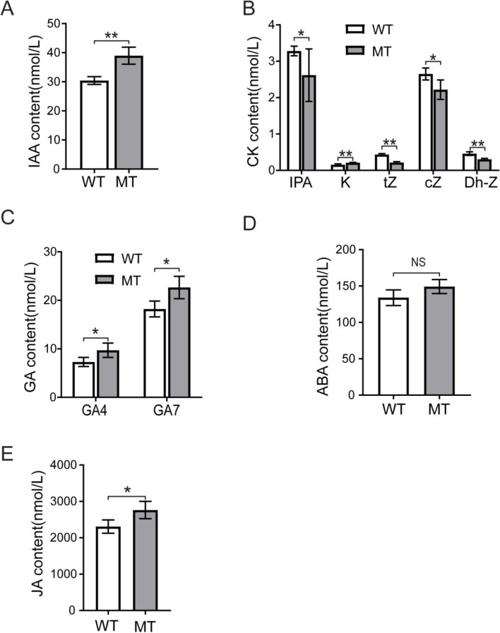 Fig. 11