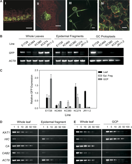 Fig. 6.