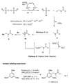 Scheme 3