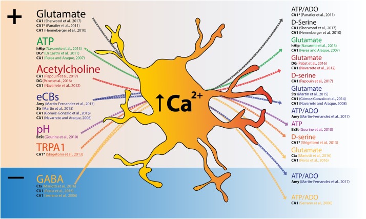 FIGURE 1