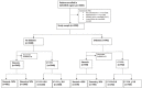 Flowchart shows summary of included participants. ADVANCE = Assessing
Diagnostic Value of Noninvasive CT-FFR in Coronary Care, CT-FFR = CT
fractional flow reserve.