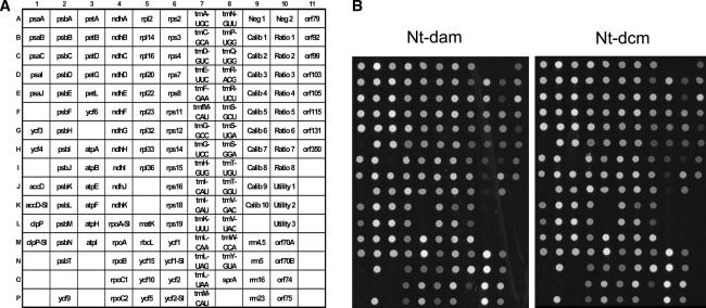 Fig. 3