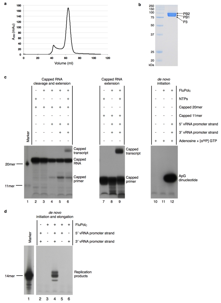 Extended Data Figure 1