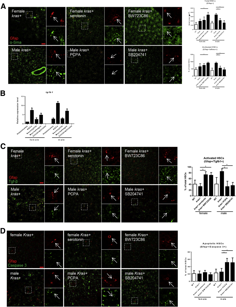 Figure 6