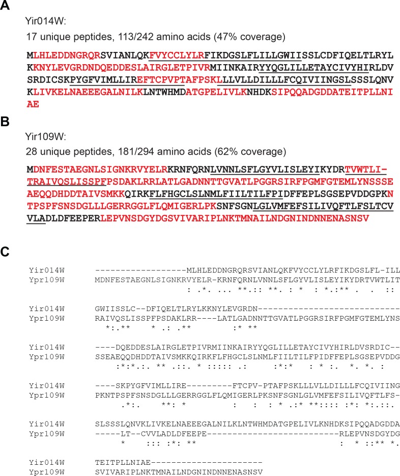 Figure 2—figure supplement 1.