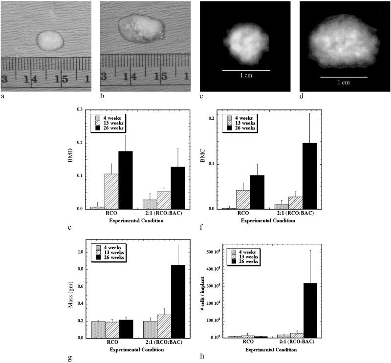 Fig 2.