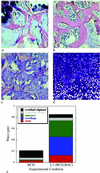 Fig 3.