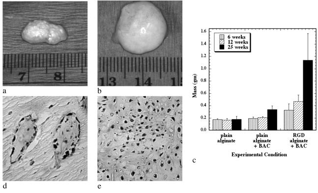 Fig 1.