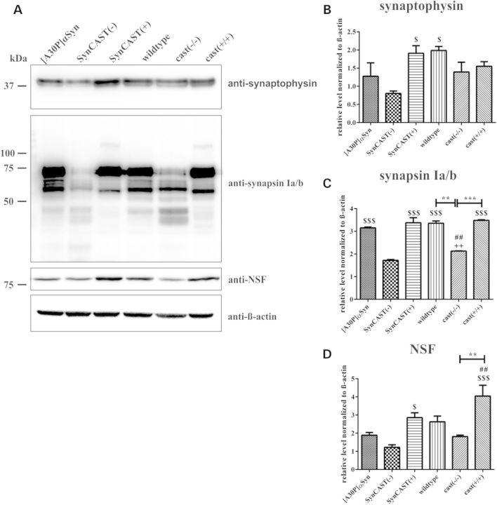 Figure 6.