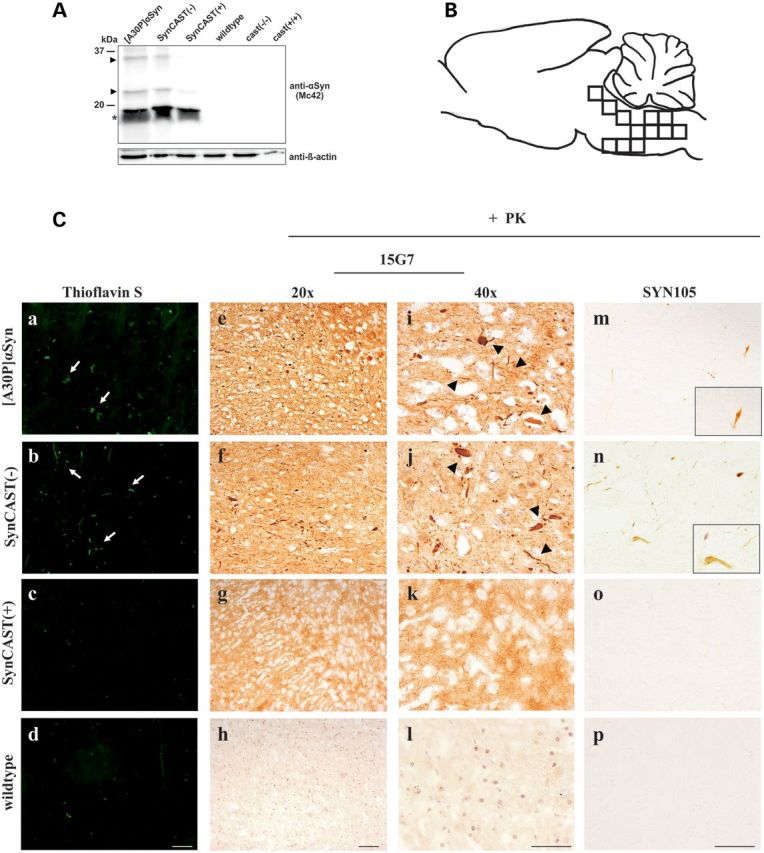 Figure 4.