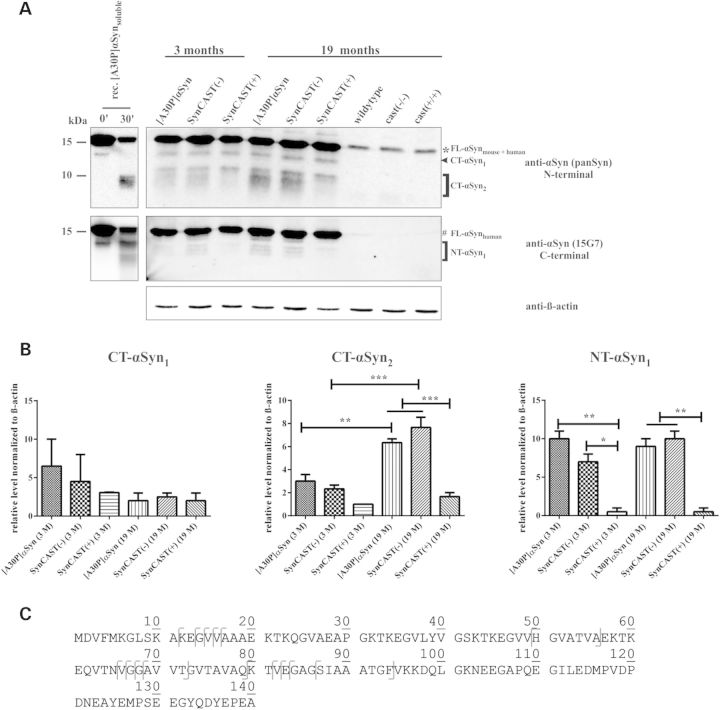 Figure 3.