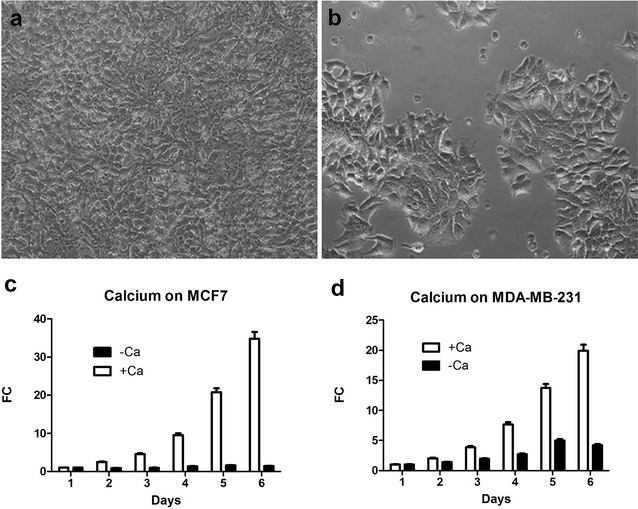 Fig. 4