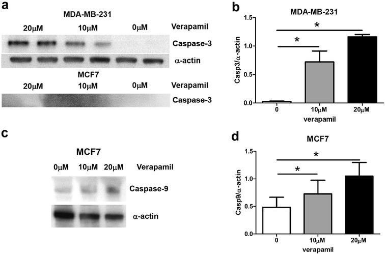 Fig. 6