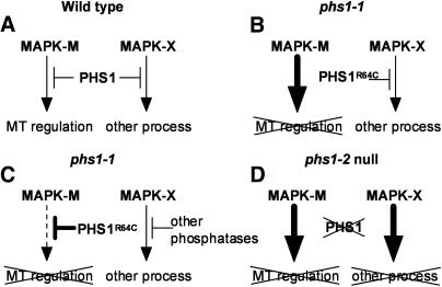 Figure 11.