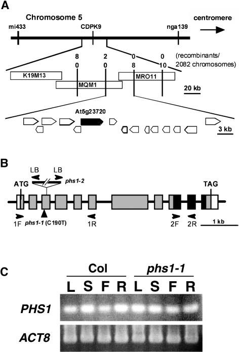 Figure 6.