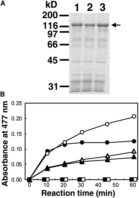 Figure 9.