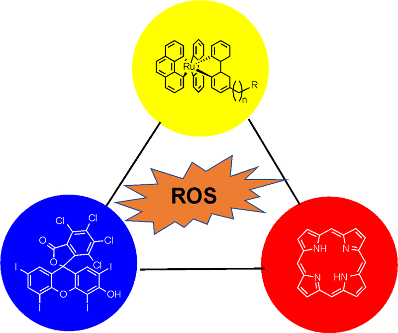 Figure 2.