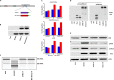 FIG 5