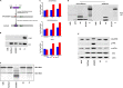 FIG 2