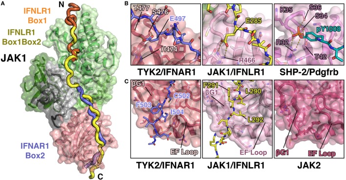 Figure 5