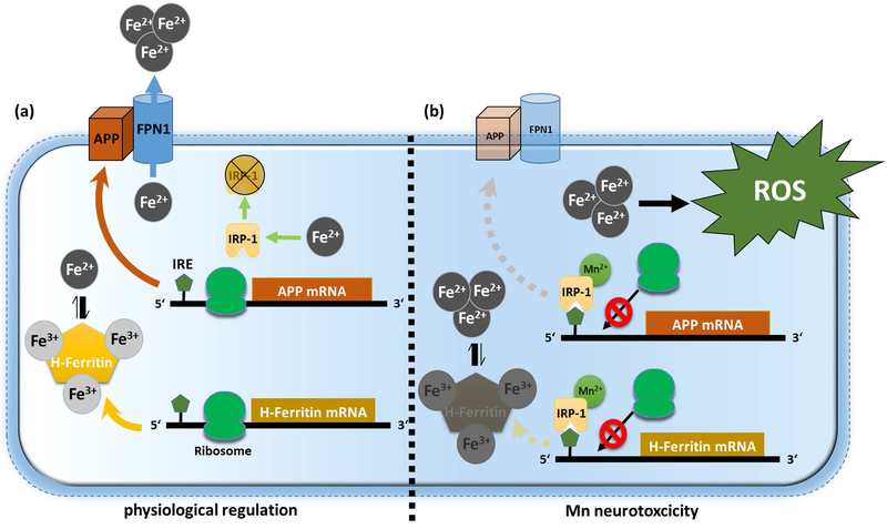 Figure 7: