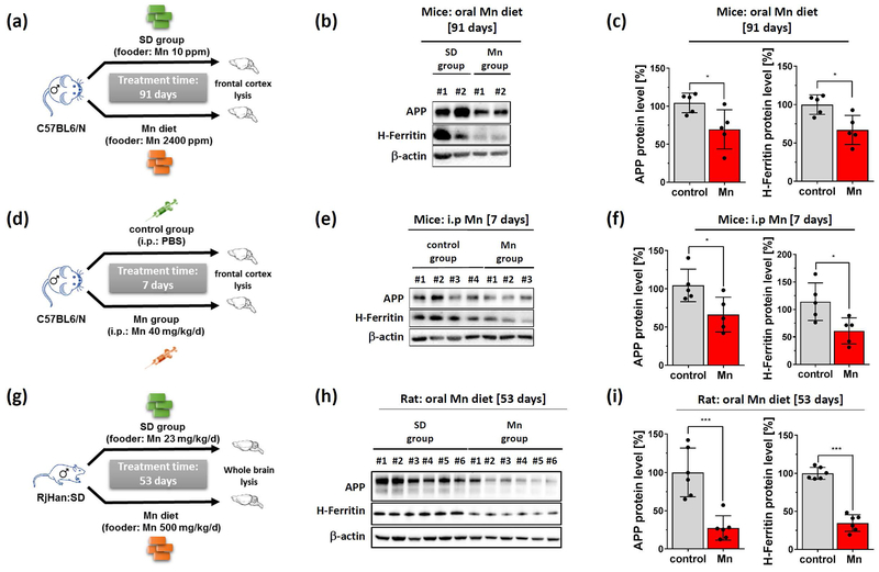 Figure 6: