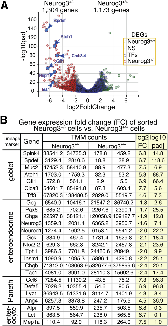 Figure 6