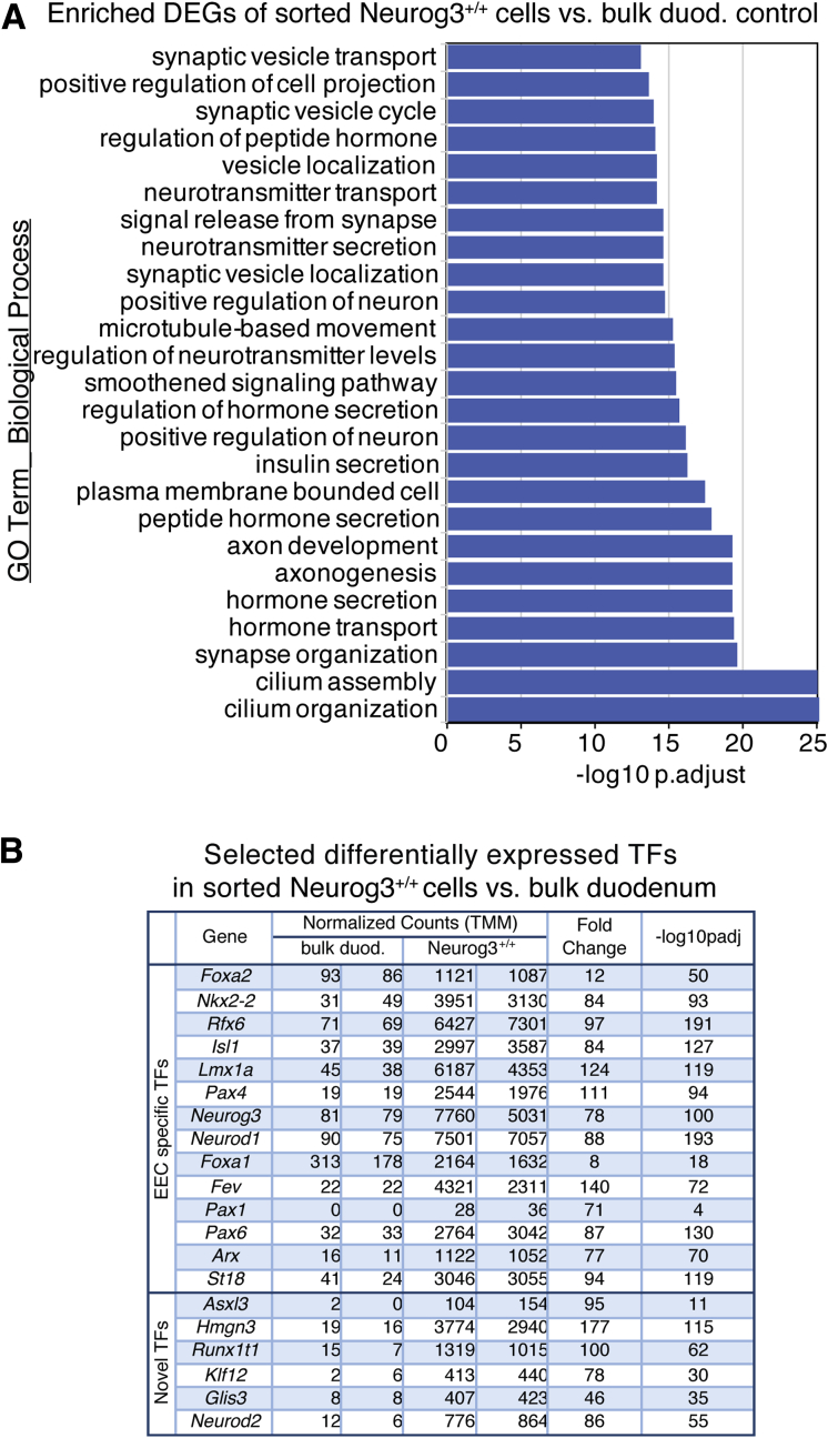 Figure 2