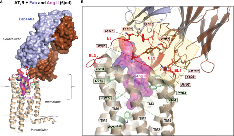 Figure 6