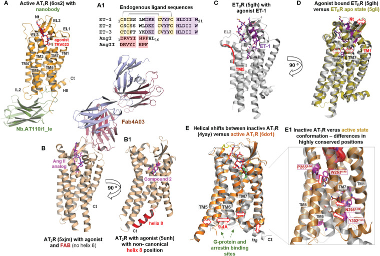 Figure 4