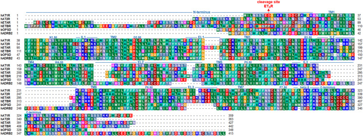 Figure 1