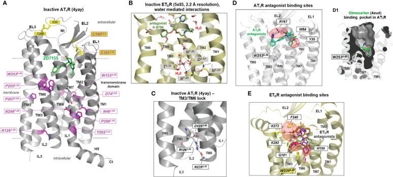 Figure 2