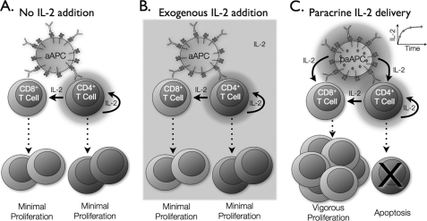 FIGURE 7.