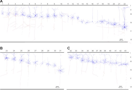 Fig. 5.